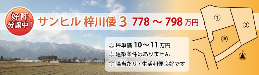 top43_sunhill_azusagawayamato3_s2.jpg
